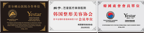 艺星荣誉图 艺星荣誉